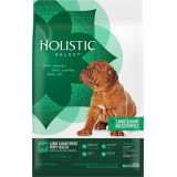 Holistic Select® Large & Giant Breed Puppy Dog Food